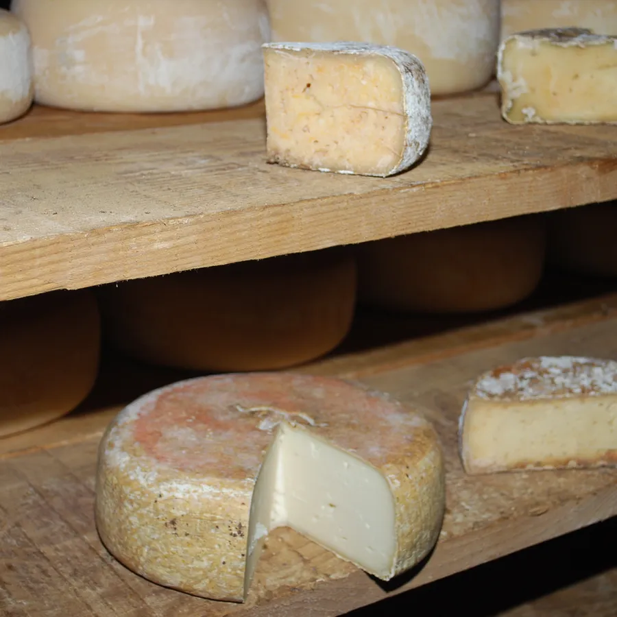 Tomme de Brebis Ail Noir