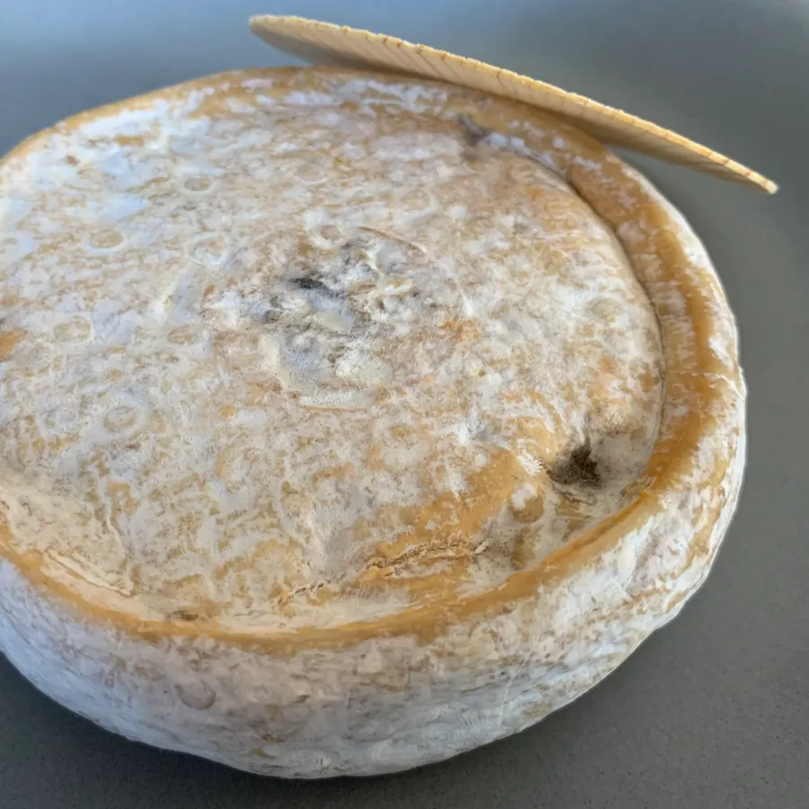 Tomme Chevre Thym & Romarin